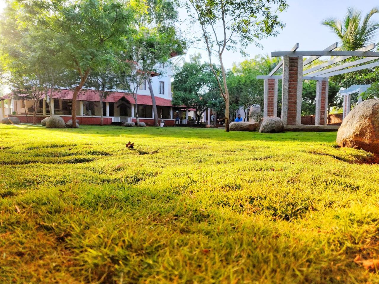 Sun Farm House 黎明之村 外观 照片
