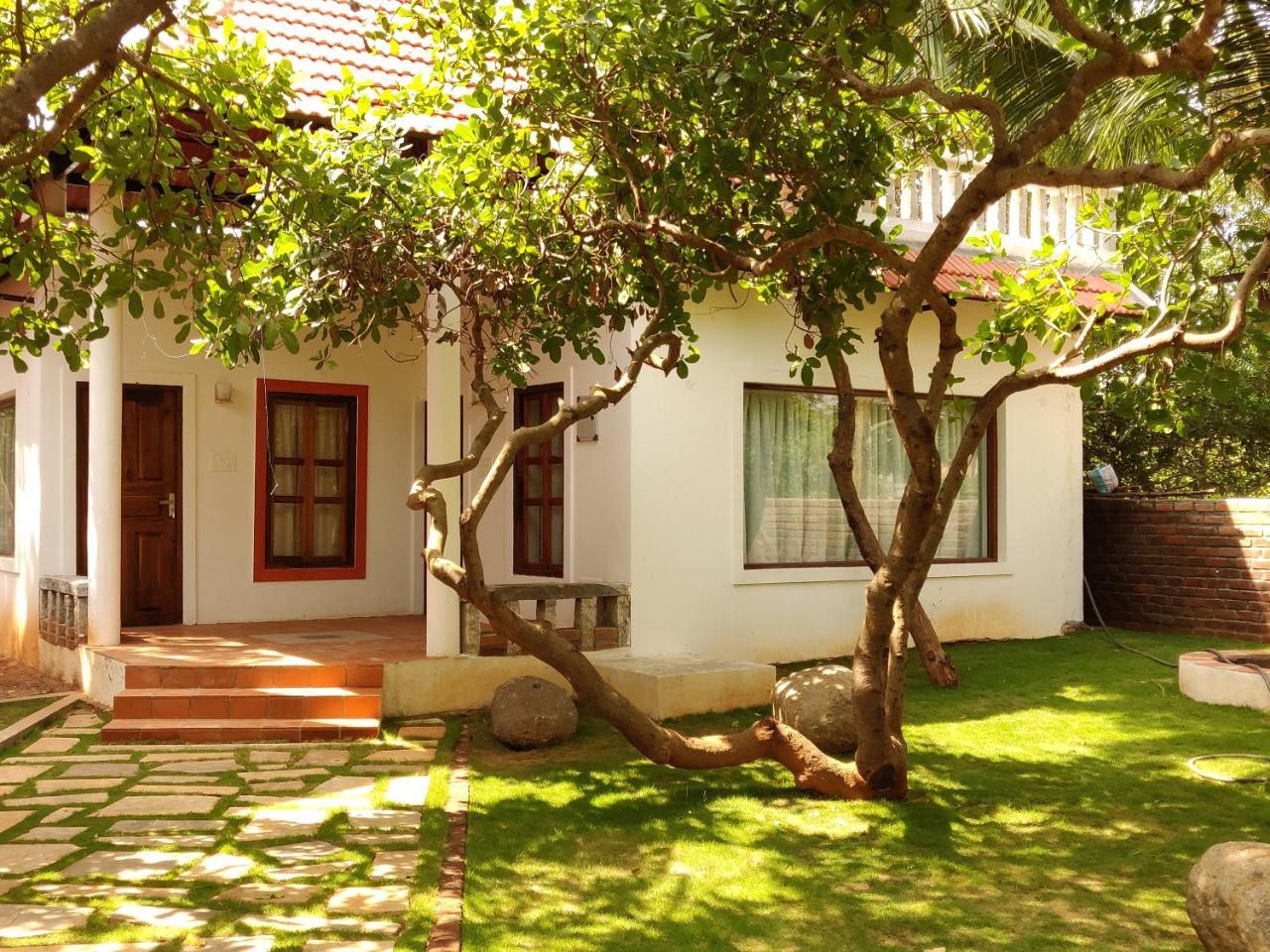 Sun Farm House 黎明之村 外观 照片